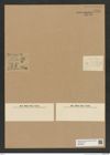 Diatomeae indet. Zeichnungen Sammlung Grunow Nr. 7734 (NHMW-BOT-W0376951)